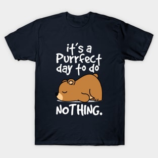 it's a perfect day to do nothing T-Shirt